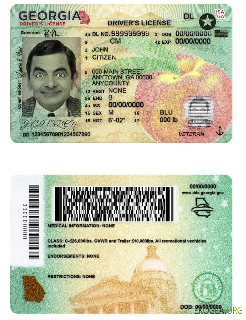 USA Georgia driving license template in PSD format (2019 – present)